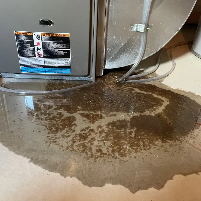 Appliance Leak Cleanup in Oildale, CA